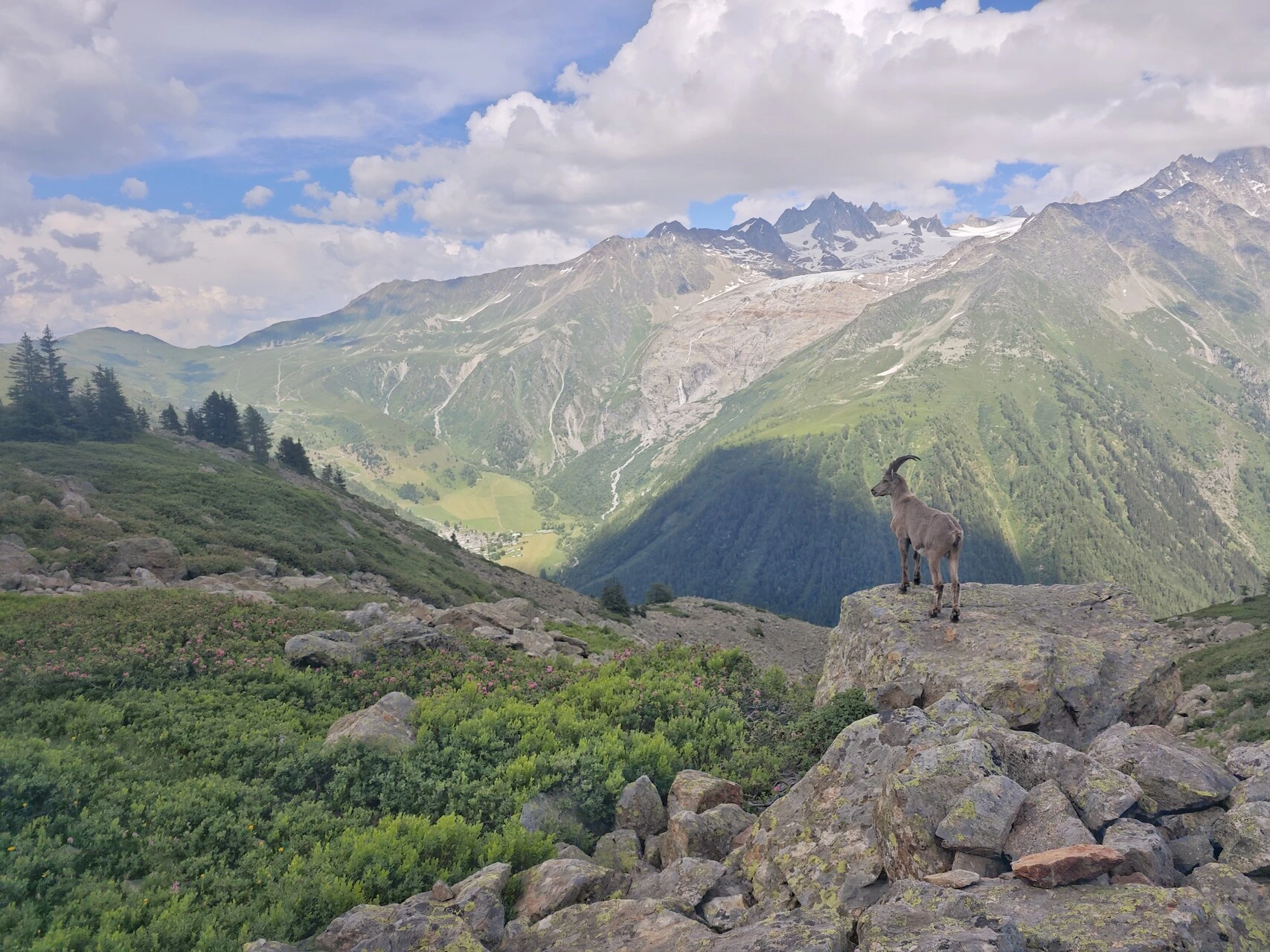 Herds often hold to the rocks on the balcony above the valley