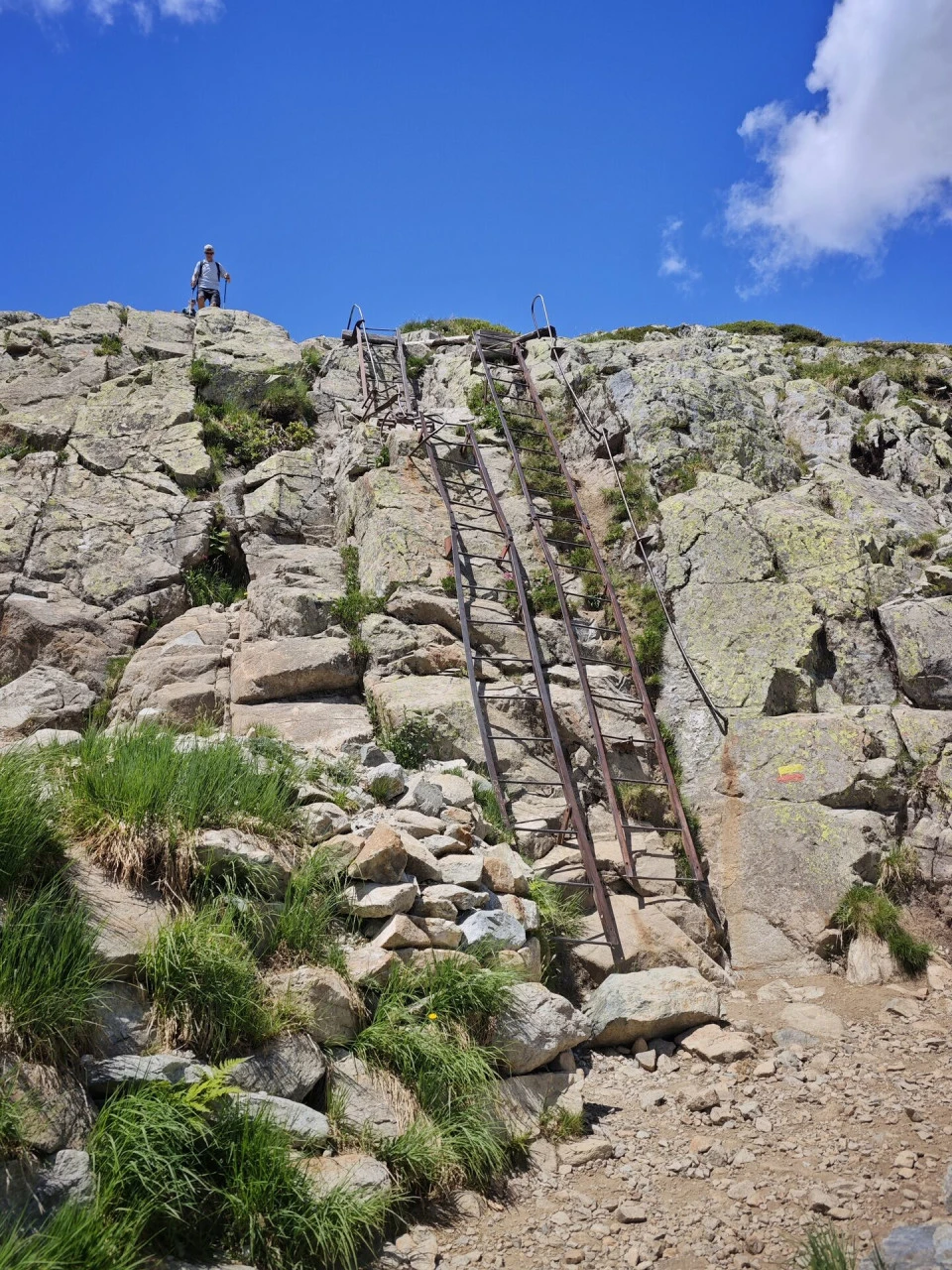 One of the metal ladders bolted into the rock band, on the Tré-le-Champ trail
