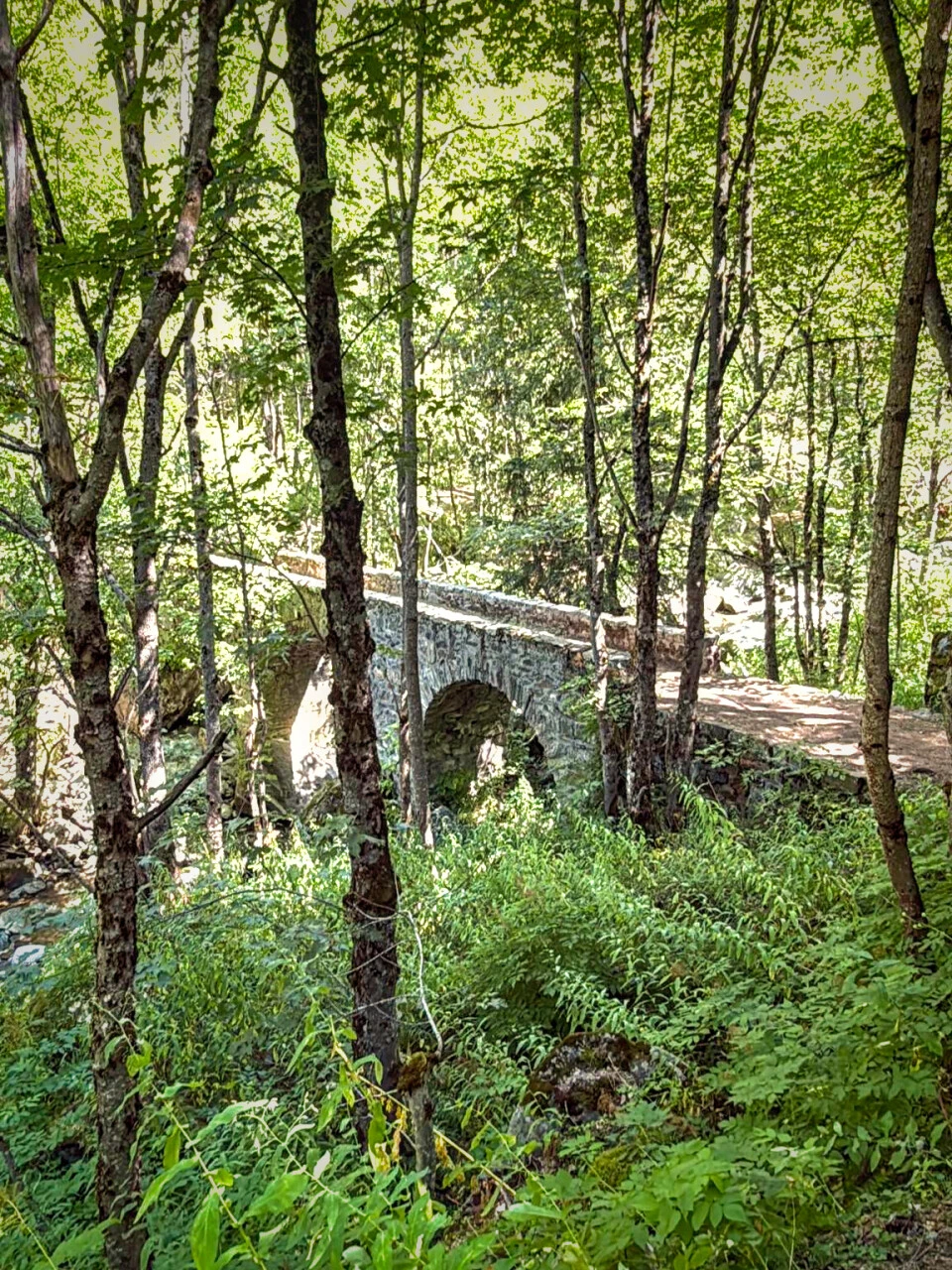 Footbridge over the Vénéon