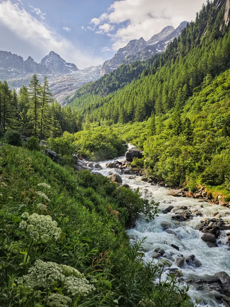 Trient Glacier - TMB