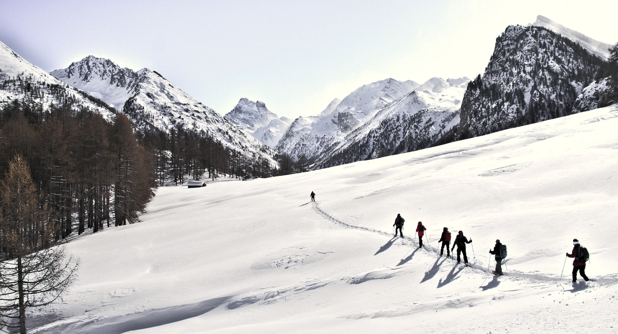 snowshoeing initiation in the Alps