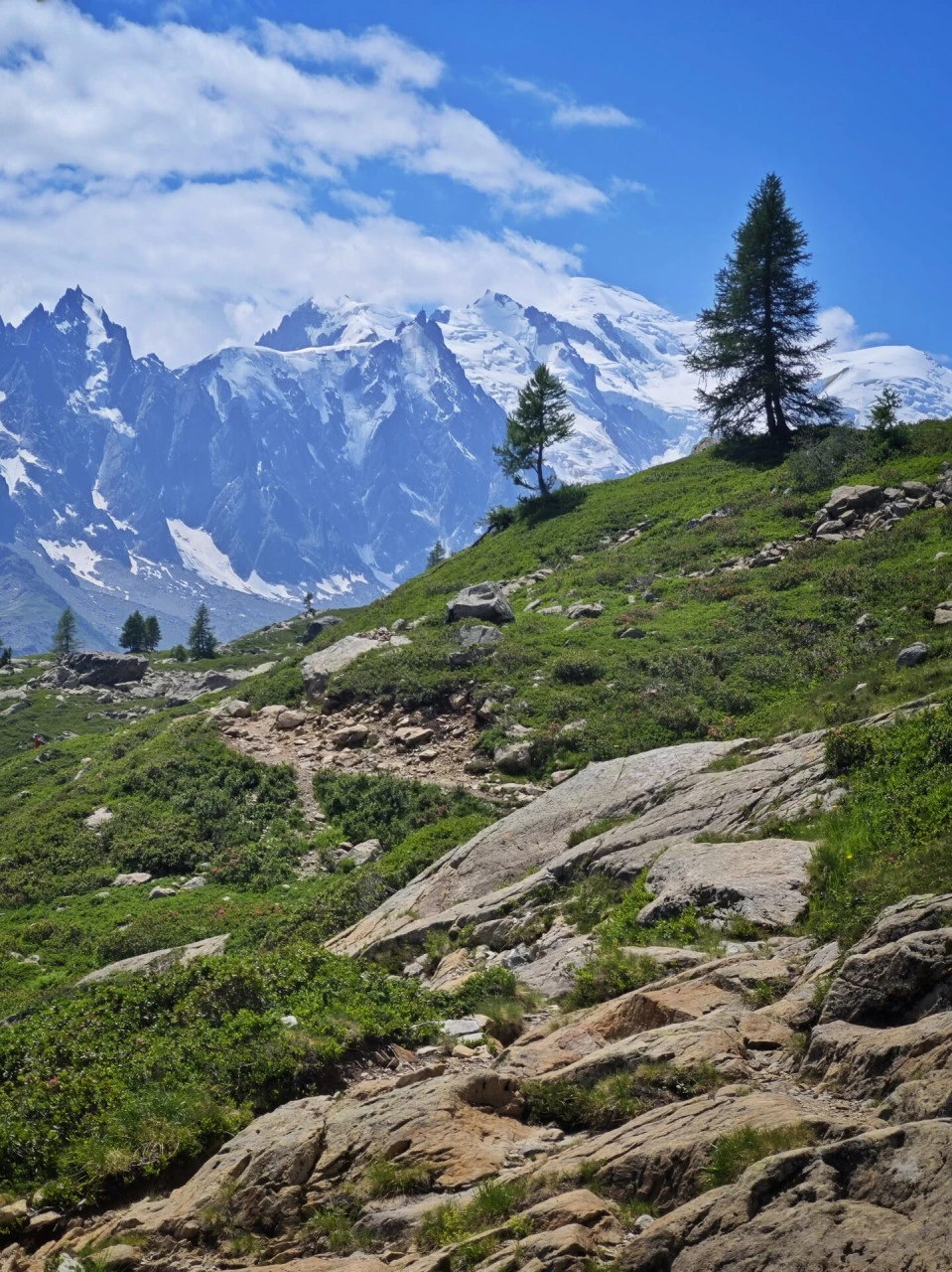 The trail above the col des Montets, the Mont-Blanc massif facing you the whole way up