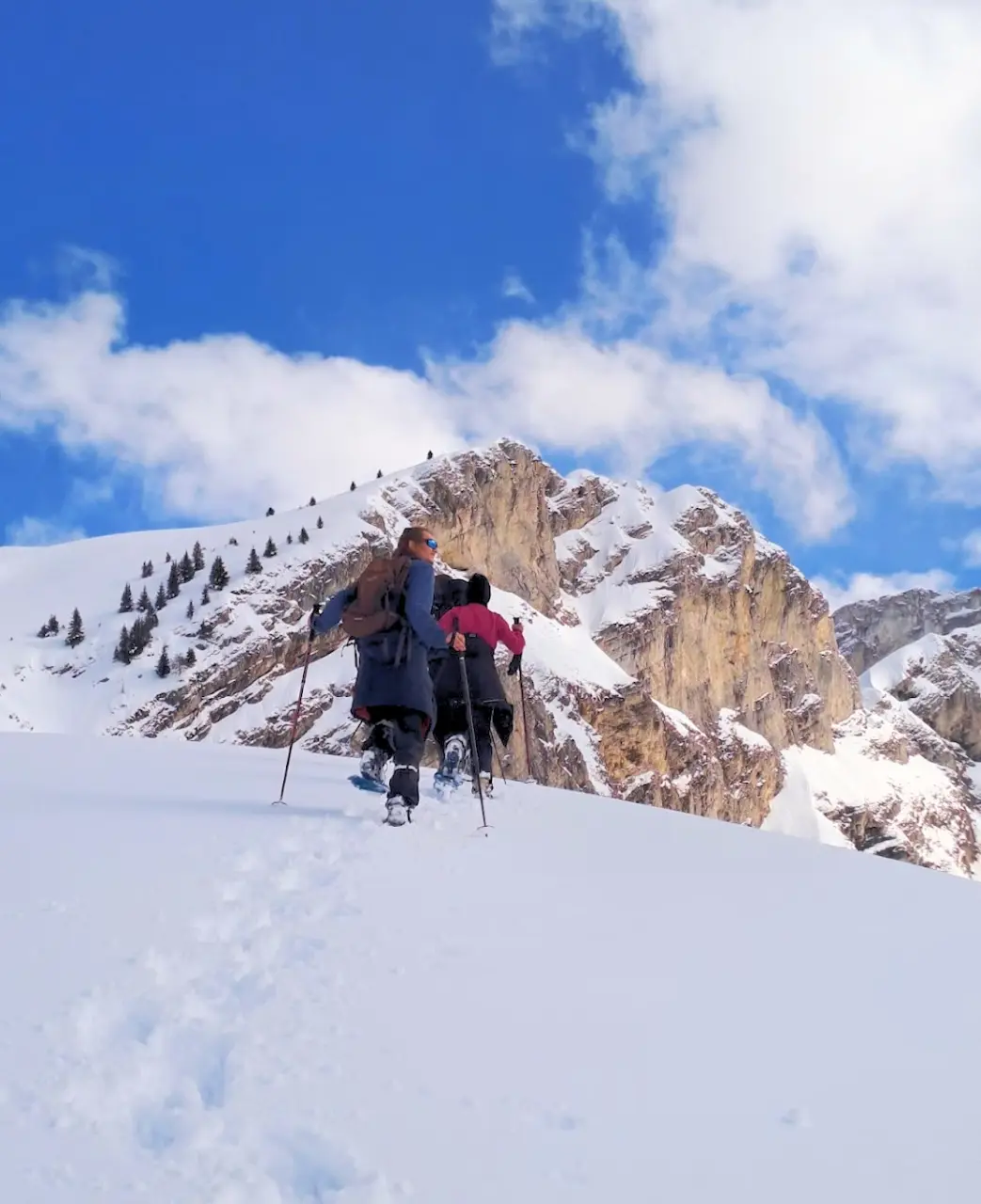 Winter snowshoeing weekend - Vercors